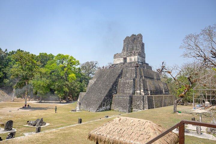 Day Trip to Tikal Maya Ruins Including Lunch