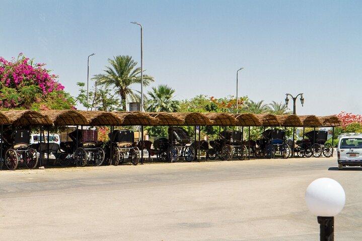 Private Tour of Luxor City with Traditional Carriage