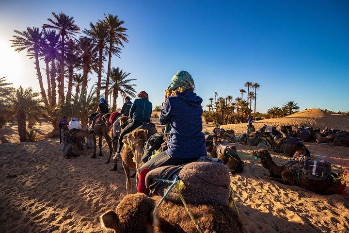 2 Days and 1 Night Desert Trip in Morocco