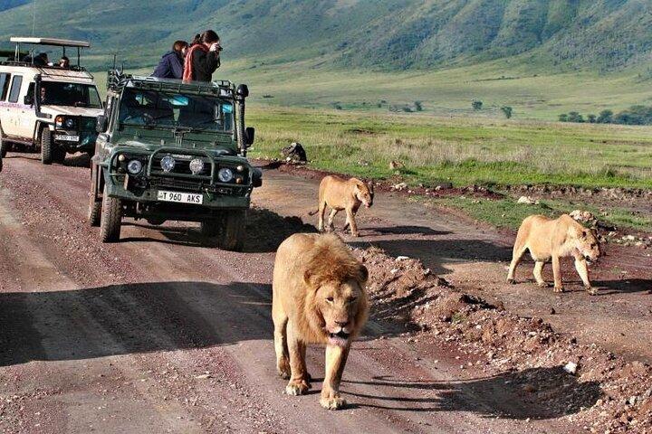 3 days Masai Mara Group joining Adventure on 4x4 Land Cruiser