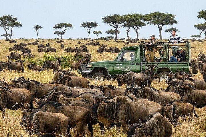 3 days Masai Mara Group joining Adventure on 4x4 Land Cruiser