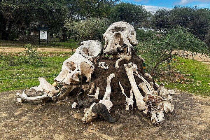 3Day Culture & Wildlife Safari: Tarangire,Ngorongoro & Lake Eyasi