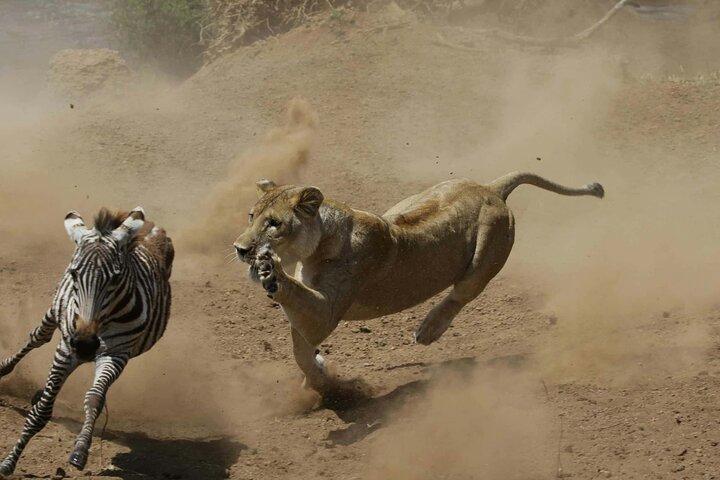 3Day Culture & Wildlife Safari: Tarangire,Ngorongoro & Lake Eyasi