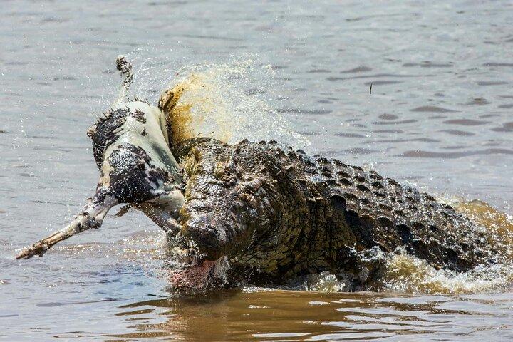 3Day Culture & Wildlife Safari: Tarangire,Ngorongoro & Lake Eyasi