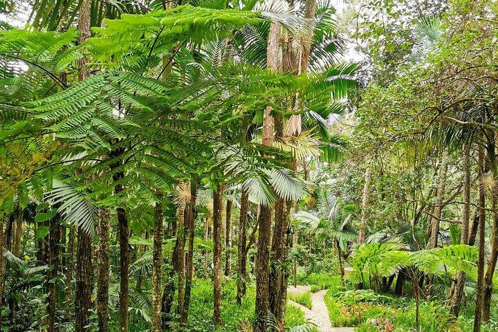 Puerto Plata City Tour with the Mount Isabel, Rum & Chocolate