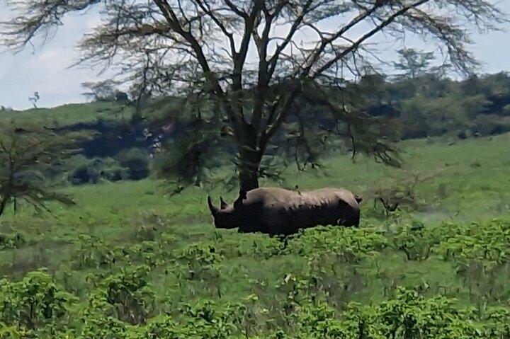 6 Days Private Tour in Mt Kenya Circuit Wild Safari