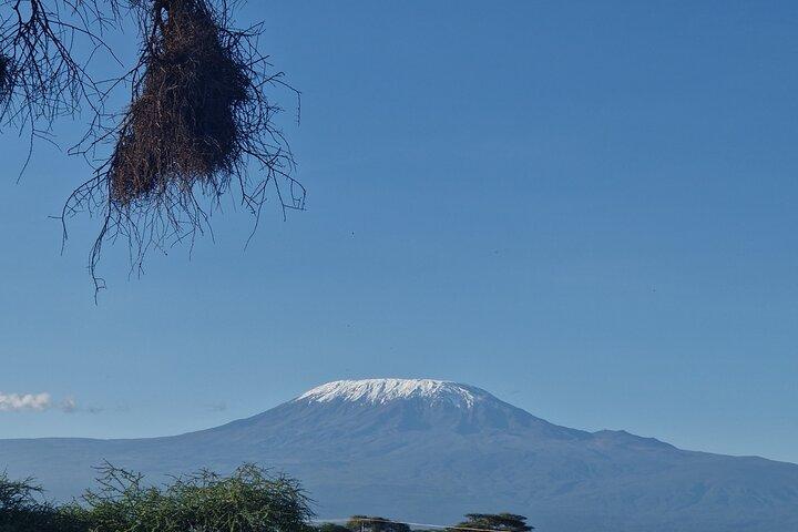 6 Days Private Tour in Mt Kenya Circuit Wild Safari