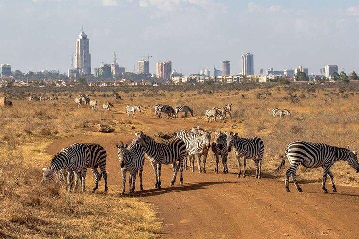 Nairobi National Park Game Drive Tour With Transfer