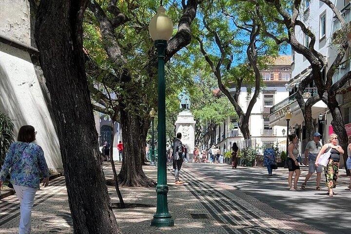 Madeira Special City Tuk Tuk Tour and Viewpoints by MadTuk