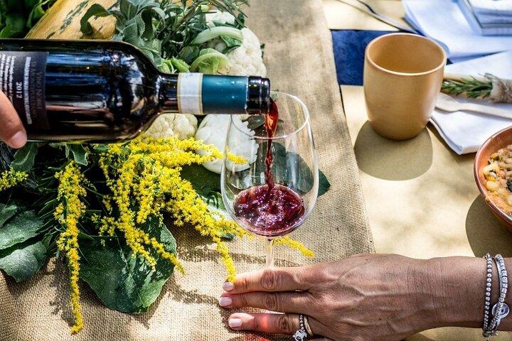 Green tour: Organic food & wine in Tuscany