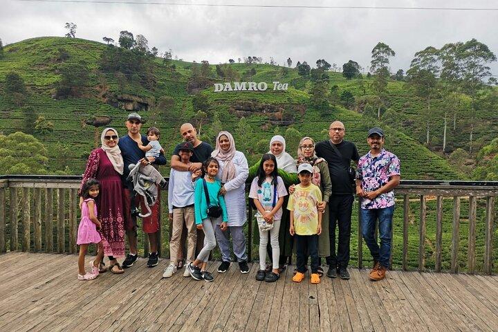 Scenic Road Trip to Ella from Kandy (Group)