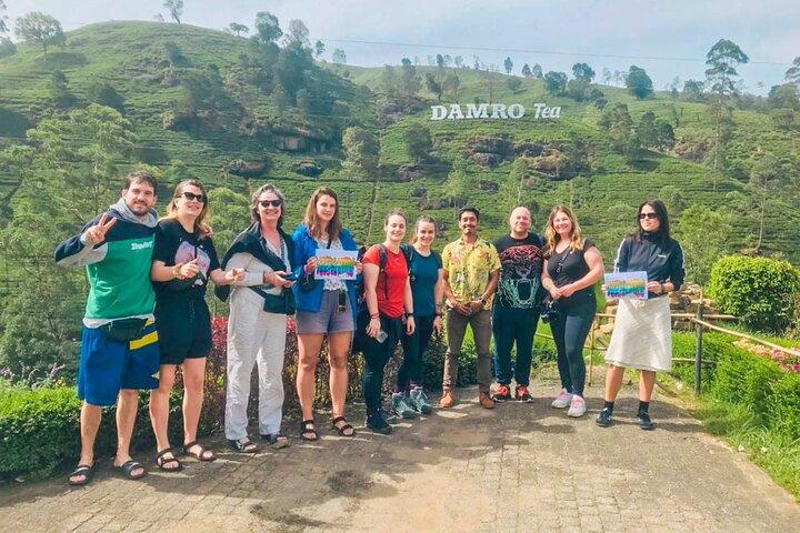 Scenic Road Trip to Ella from Kandy (Group)