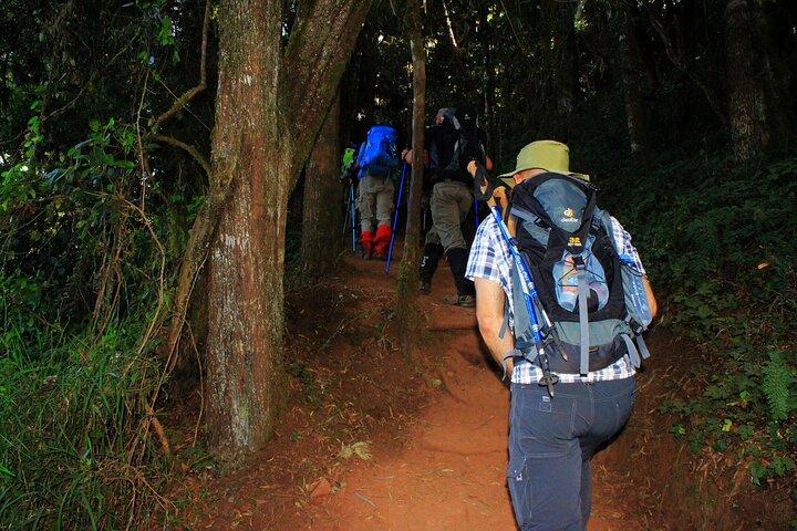 8 Days Mountain Kilimanjaro Lemosho Route