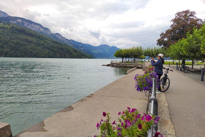 Panoramic E-Bike Tour with a Lake Cruise