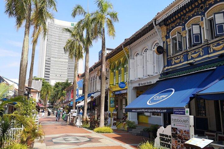 Private Cultural Heritage Walking Tour of Bedok