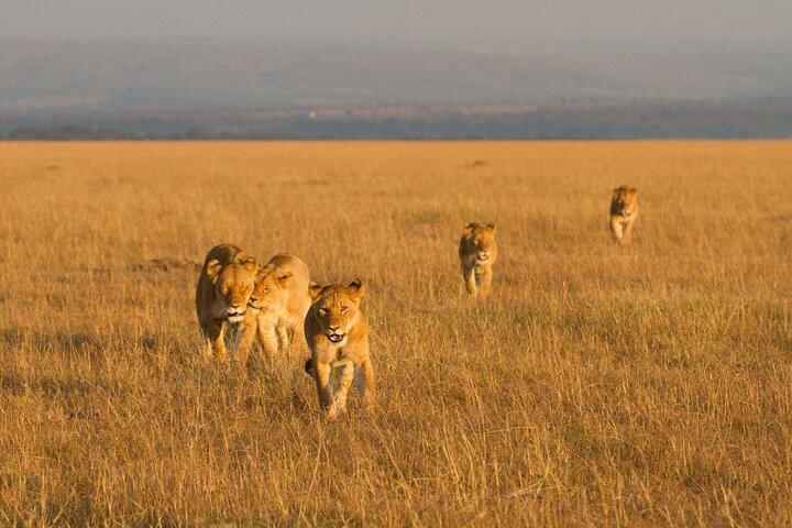 2 Days Amboseli National Park safari and Mount Kilimanjaro