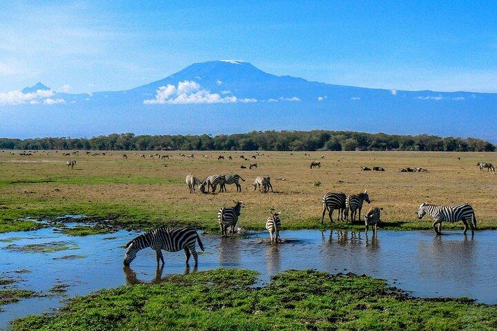 2 Days Amboseli National Park safari and Mount Kilimanjaro