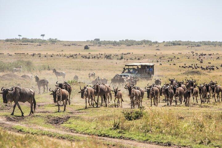 5 Days Exclusive Camping Adventure in Northern Tanzania