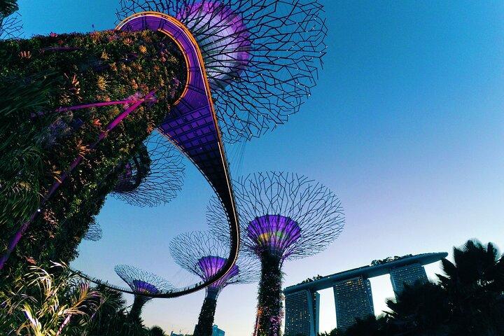 Private Night Walking Tour in Singapore Cultural Heritage