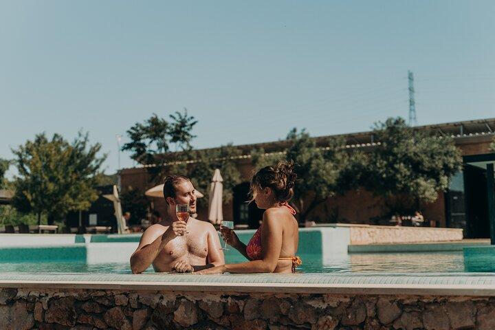 Tour & Wine tasting - Authentic Algarve Flavours by Quinta da Tôr