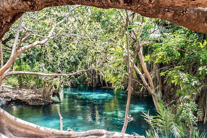 Materuni Waterfall, Coffee Farm Tour, and Kikuletwa Hot Spring