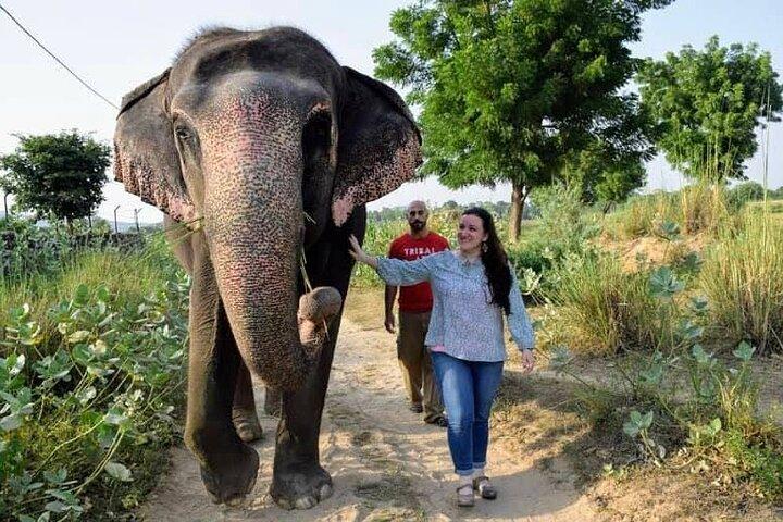 Private Elephant Sanctuary