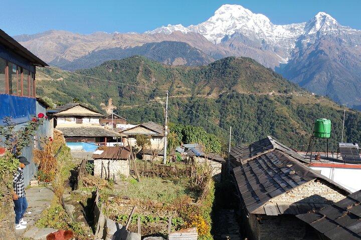 7-Day Trek to Annapurna Base Camp from Pokhara