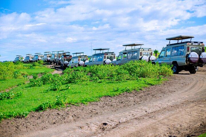 7 Days Mid Range Tanzania Wildlife Safari