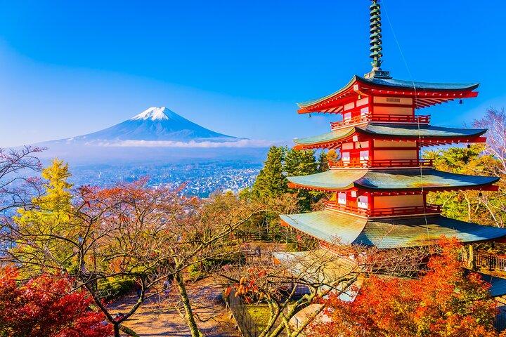 Mt. Fuji Hidden Gems: Secret Viewpoints & Instagram Spots Tour