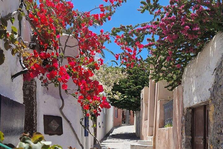 3 hours Panoramic Tour to Oia