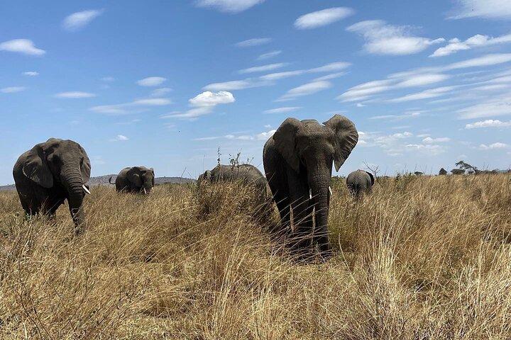 2 Days safari to Tarangire National park And Ngorongoro Crater