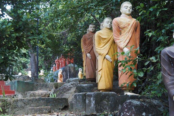 2h Madu River Safari: Mangrove, Cinnamon Island & Buddhist Temple