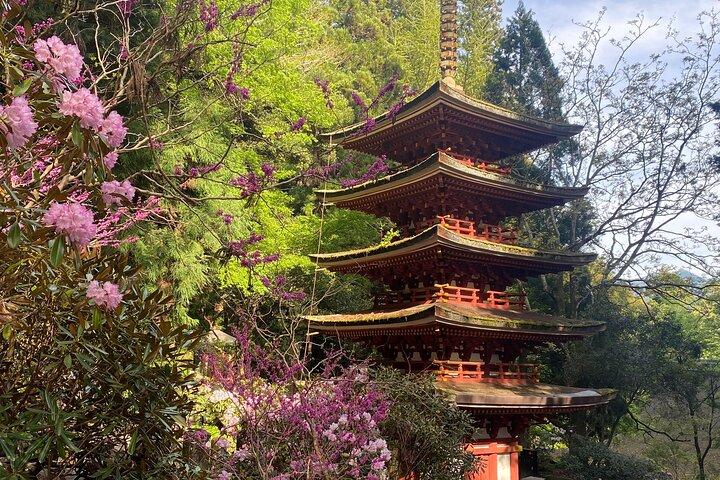 Exclusive Luxury Day Tours Serene Nara