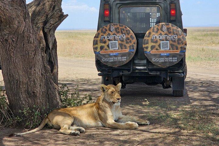 3 days and 2 nights Safari to Serengeti National Park