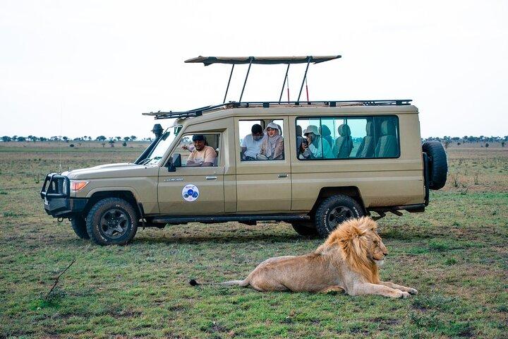 3 days and 2 nights Safari to Serengeti National Park