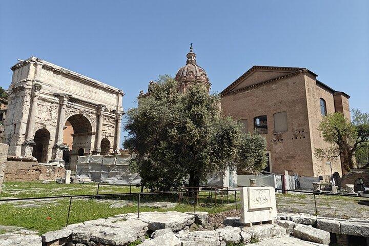 Roman Forum Myths and Legends Private Guided Tour