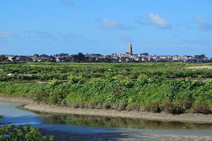 Visit to Saline - Guérande Salt Marshes