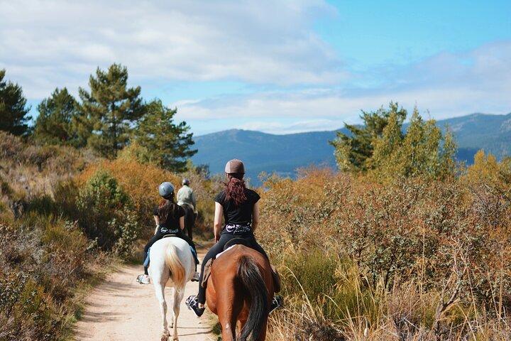 Horse Riding Madrid Natural Park Private trip