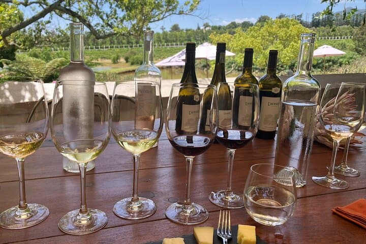 South Africa Cape Winelands Full Day Private Tour