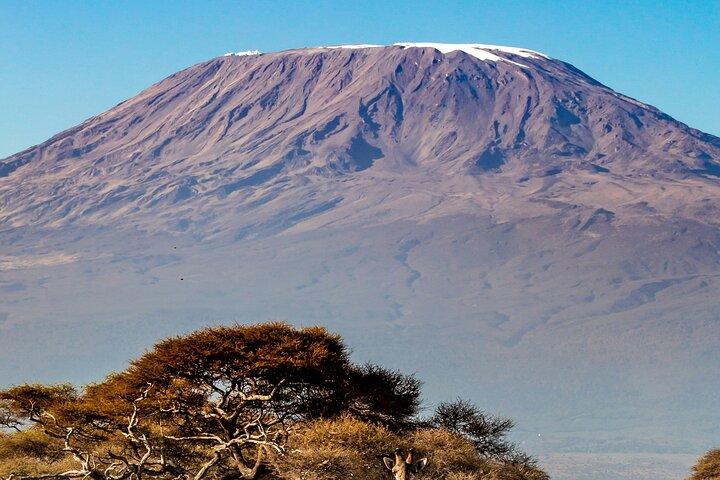 5 Days Marangu Route