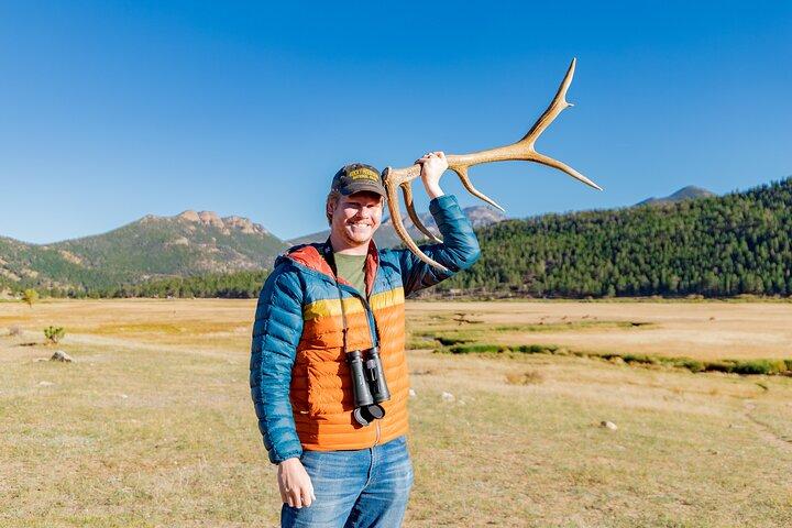 Fall Private Elk Rut Rocky Mountain National Park Tour