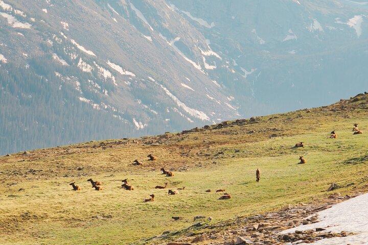 Summer Private Rocky Mountain National Park Driving Tour