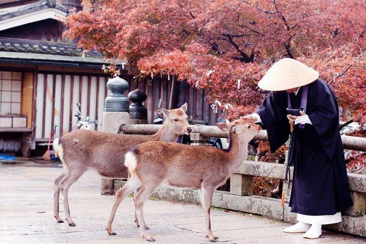 Nara Private Tour with Pick and Drop and English Speaking Driver