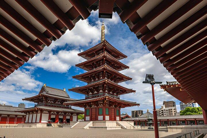 Osaka Private Tour with English-Speaking Driver