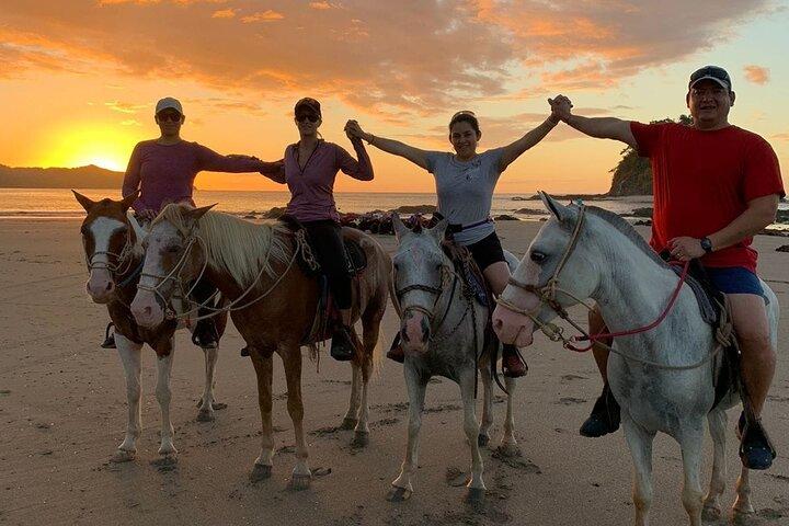 Conchal Beach Horseback Riding - 1hr 30min Guided Tour