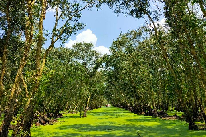 Mekong Delta 3 Days 2 Nights Tour: Cai Be - Can Tho - Chau Doc
