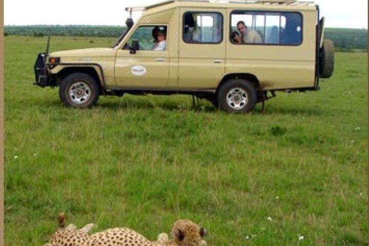 4 Day Group Safari Masai Mara & L Nakuru-4 WD