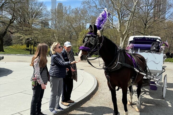 NYC : Magical Christmas Lights Private Horse Carriage Ride
