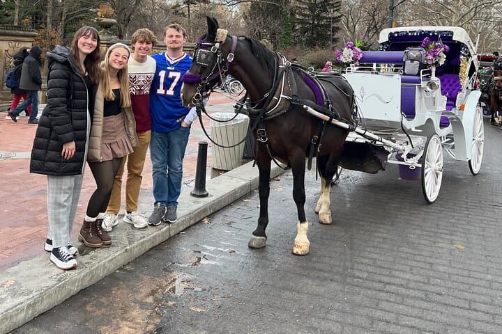 NYC : Magical Christmas Lights Private Horse Carriage Ride