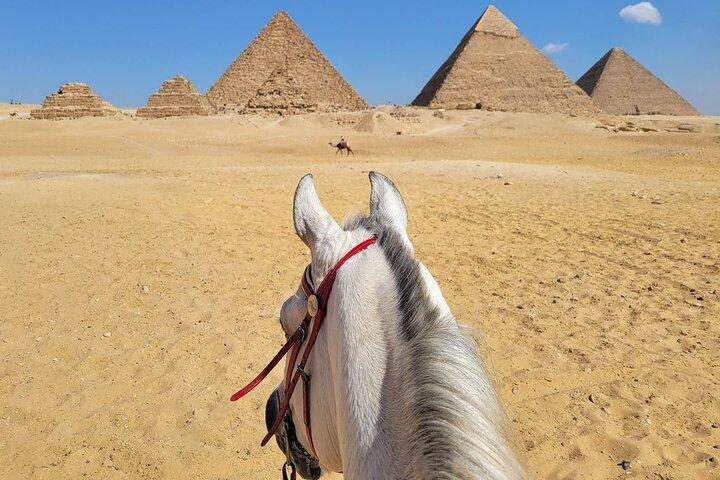 Happy Horse Holidays at Pyramids of Giza
